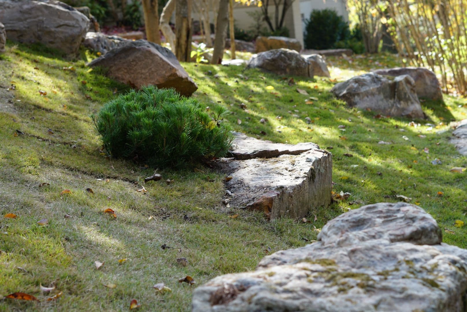 Gallery photos for Flagstone Paths, Boulder Placements and Retaining Walls in Northwest Arkansas: Image #4