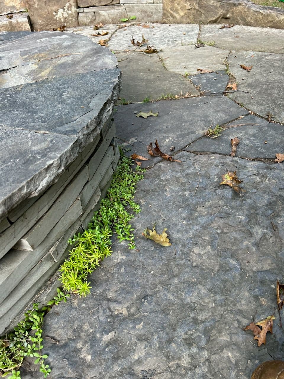 Enhancing Outdoor Spaces with Stone Patios in Bella Vista