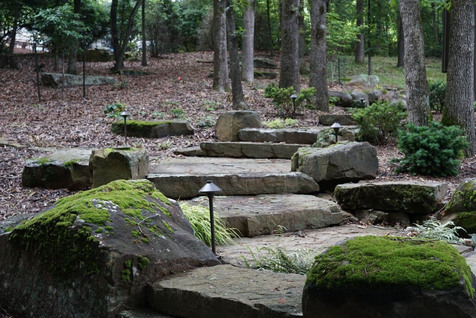 Project Transform Your Yard with Rustic Stone Path image
