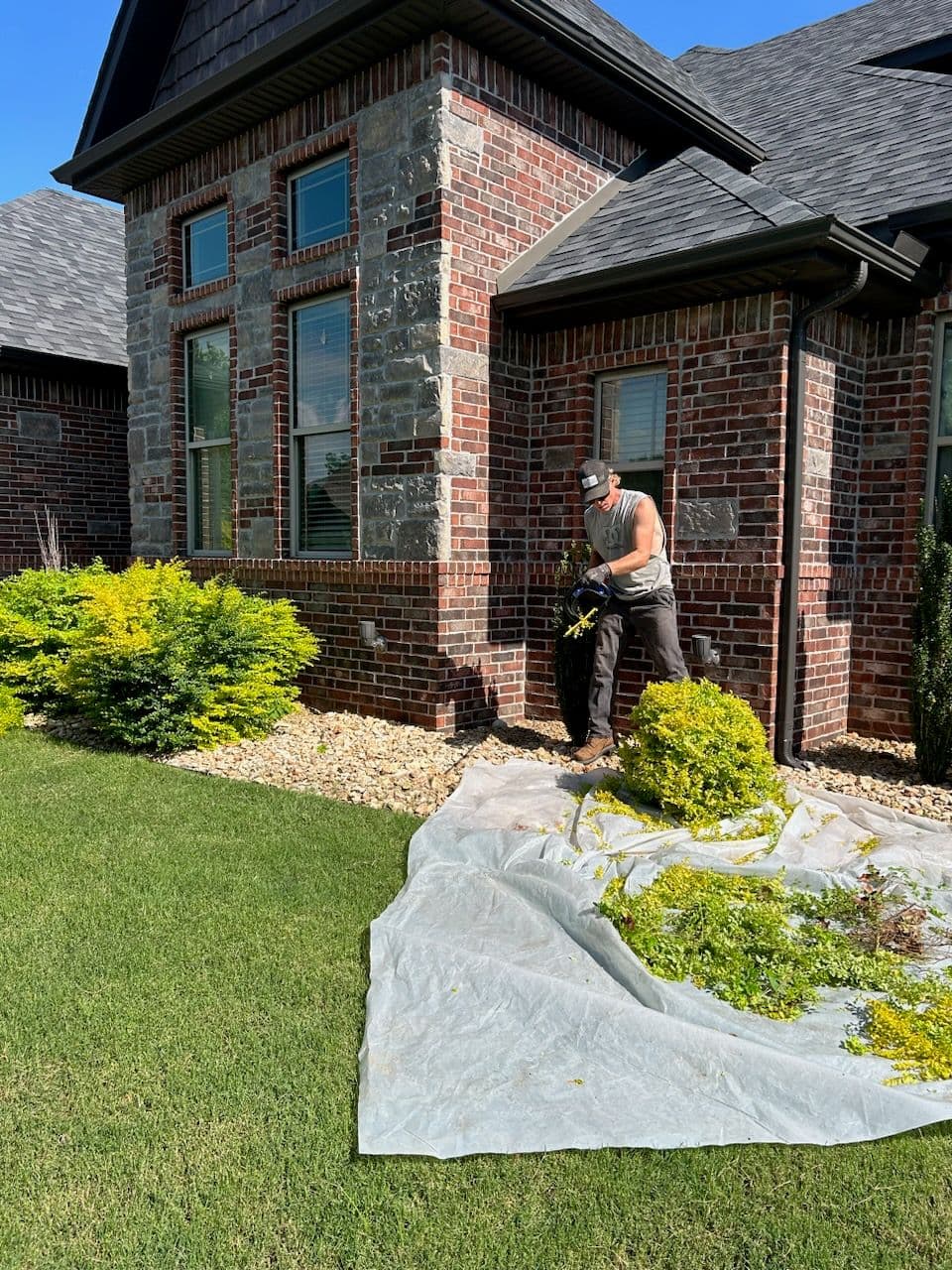 Project Transform Your Yard with Professional Landscaping image
